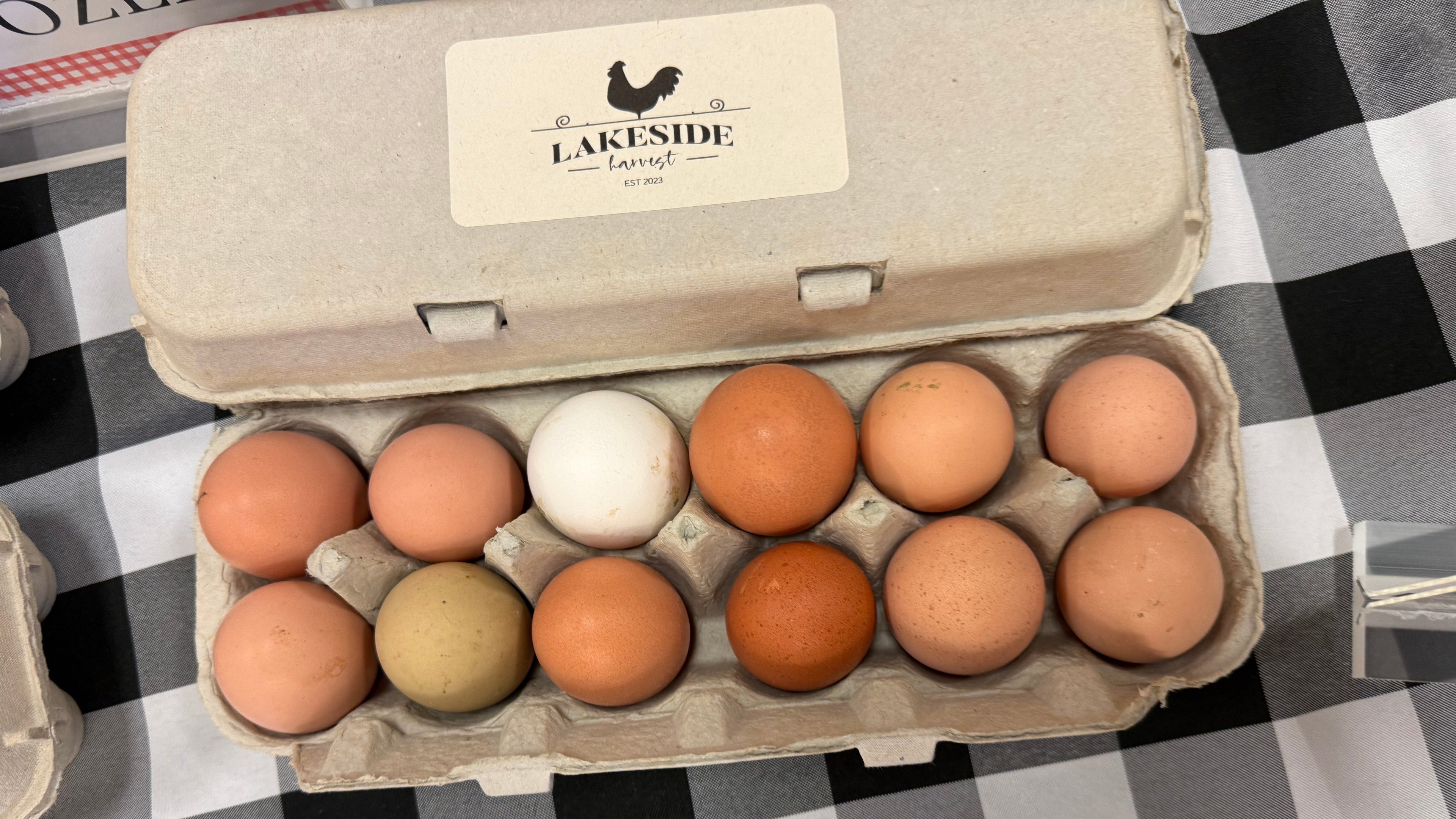 Eggs - Dozen