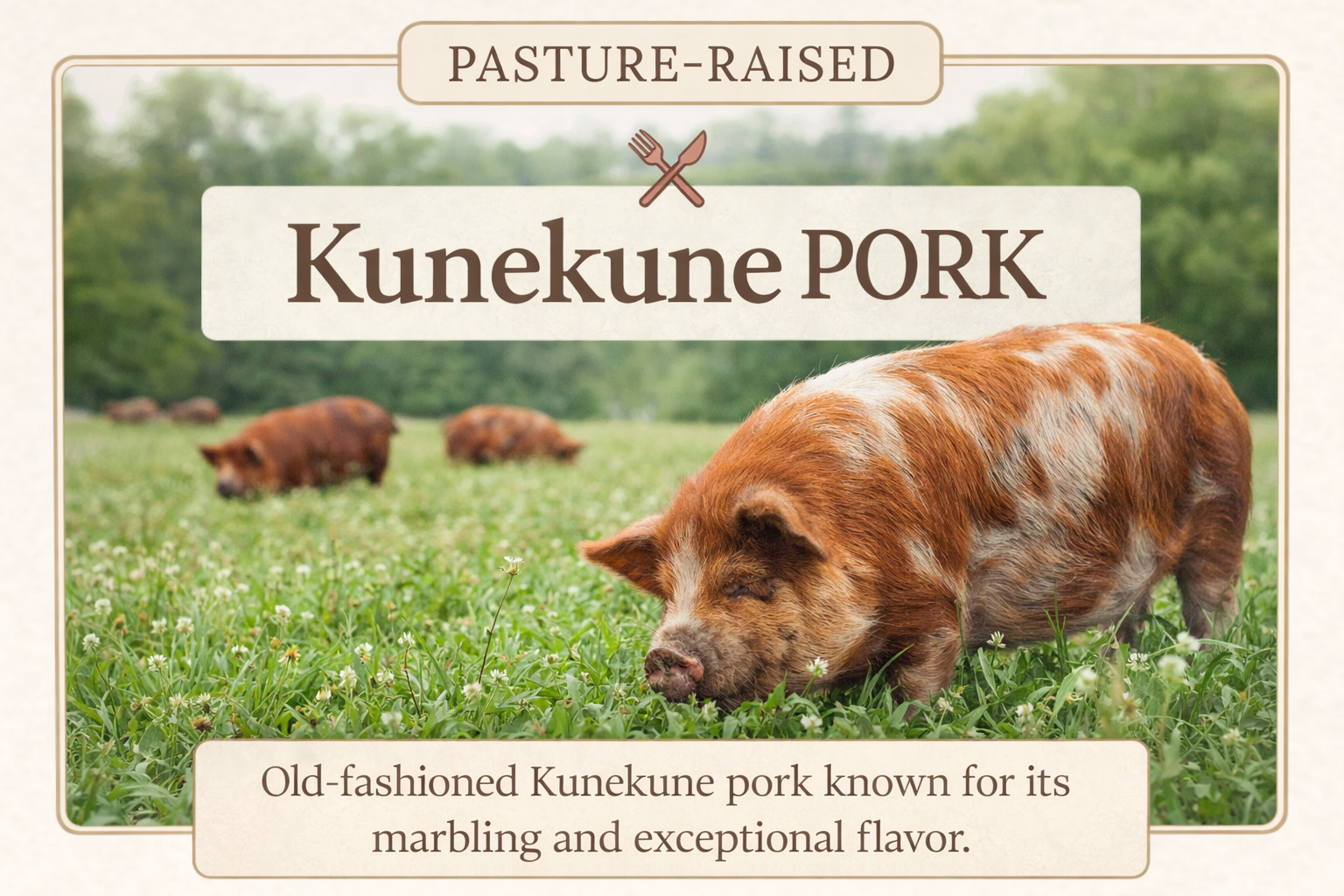 Reservation Pasture Raised Kunekune Pork Half Share